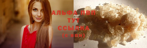 молекула духа Бугульма