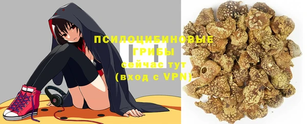 молекула духа Бугульма