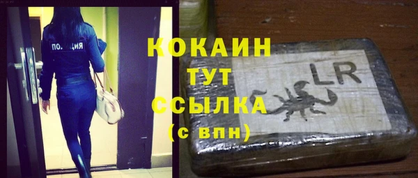 молекула духа Нягань