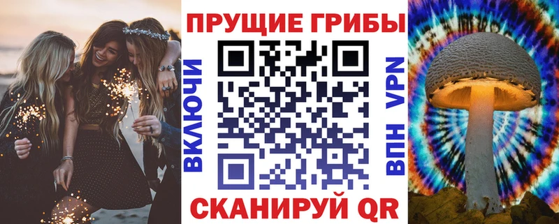 Галлюциногенные грибы мицелий  Константиновск 